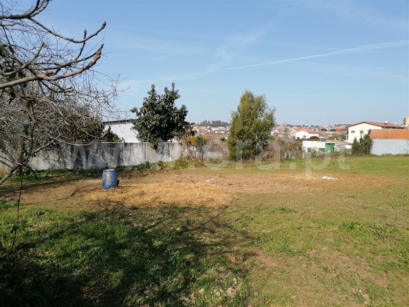 Quinta  Santa Maria da Feira, Lourosa - 1235077 - 22