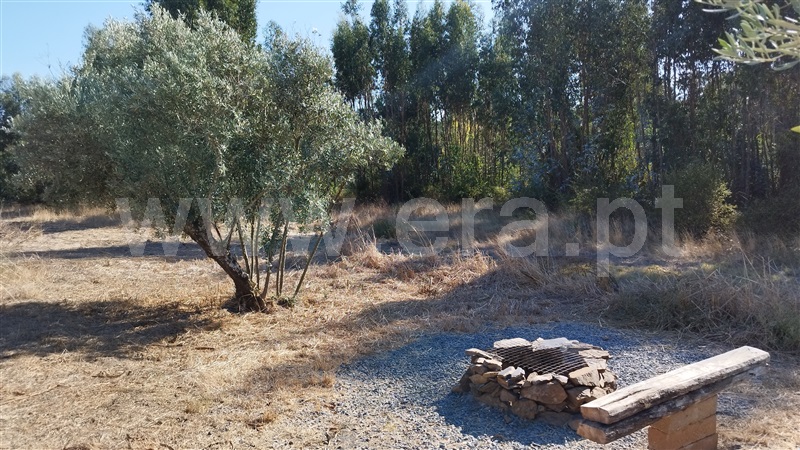 Quinta  Santiago do Cacém, Abela - 1432643 - 9
