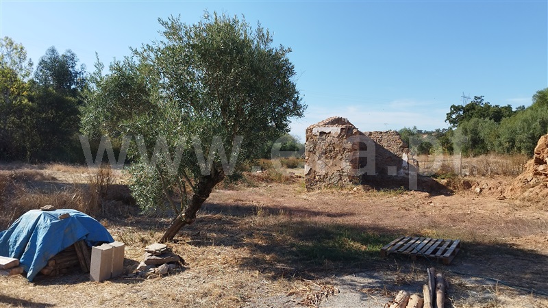 Quinta  Santiago do Cacém, Abela - 1432643 - 12