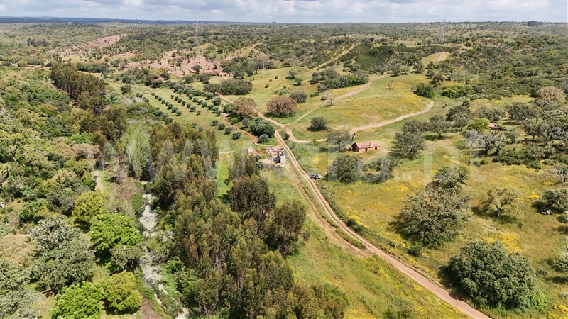 Quinta  Santiago do Cacém, Abela - 1432643 - 19