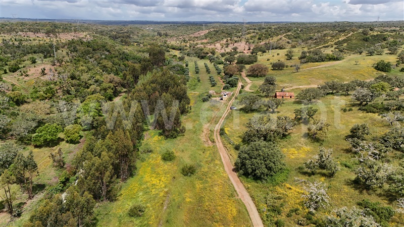 Quinta  Santiago do Cacém, Abela - 1432643 - 20