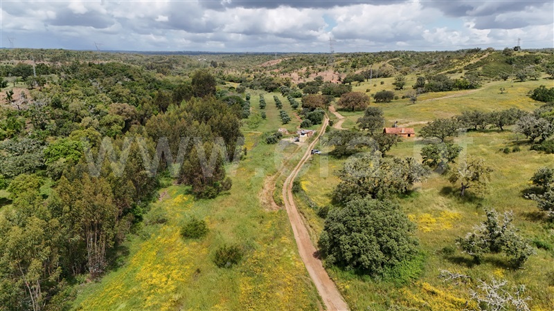 Quinta  Santiago do Cacém, Abela - 1432643 - 21