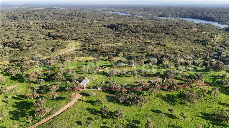 Quinta / Santiago do Cacém, Abela