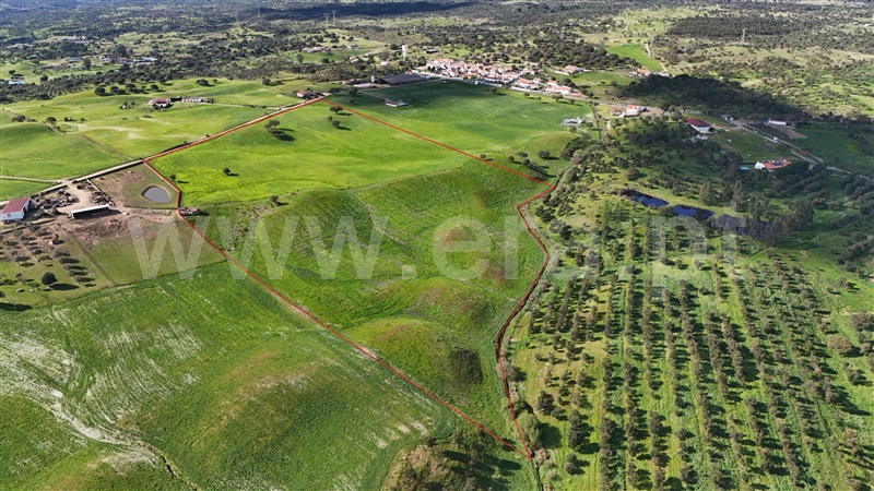 Quinta / Santiago do Cacém, Abela
