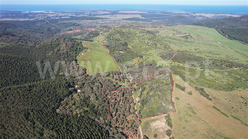 Quinta / Santiago do Cacém, Cercal