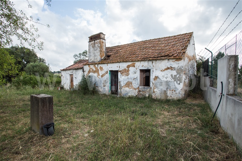 Quinta T-2 Santiago do Cacém, Santiago do Cacém, Santa Cruz e São Bartolomeu da Serra - 1487984 - 2
