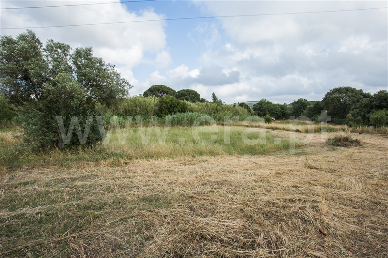 Quinta T-2 Santiago do Cacém, Santiago do Cacém, Santa Cruz e São Bartolomeu da Serra - 1487984 - 5