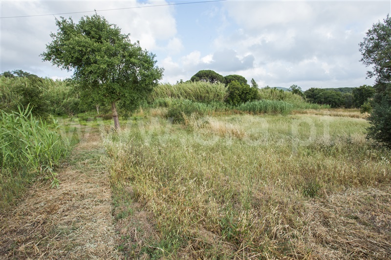 Quinta T-2 Santiago do Cacém, Santiago do Cacém, Santa Cruz e São Bartolomeu da Serra - 1487984 - 6