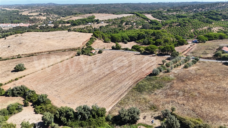 Quinta  Santiago do Cacém, Santiago do Cacém, Santa Cruz e São Bartolomeu da Serra - 1504514 - 9