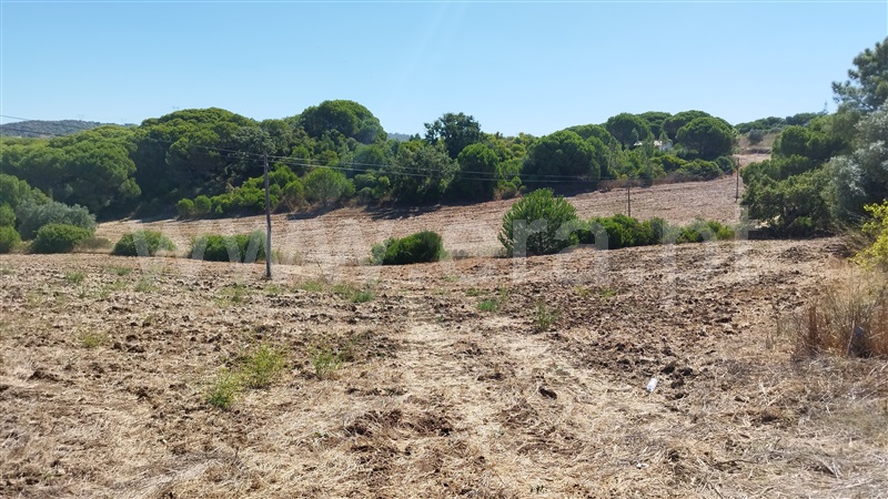 Quinta  Santiago do Cacém, Santiago do Cacém, Santa Cruz e São Bartolomeu da Serra - 1504514 - 12