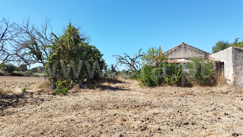 Quinta  Santiago do Cacém, Santiago do Cacém, Santa Cruz e São Bartolomeu da Serra - 1504514 - 13