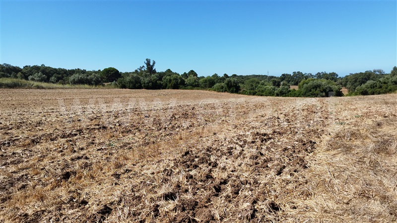Quinta  Santiago do Cacém, Santiago do Cacém, Santa Cruz e São Bartolomeu da Serra - 1504514 - 16