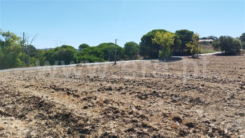 Quinta  Santiago do Cacém, Santiago do Cacém, Santa Cruz e São Bartolomeu da Serra - 1504514 - 17