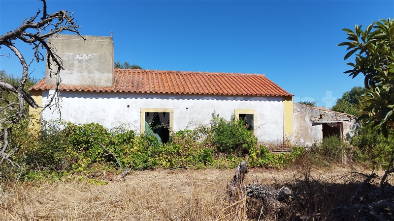 Quinta  Santiago do Cacém, Santiago do Cacém, Santa Cruz e São Bartolomeu da Serra - 1504514 - 19