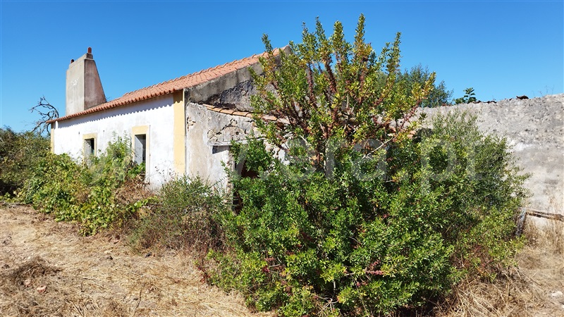 Quinta  Santiago do Cacém, Santiago do Cacém, Santa Cruz e São Bartolomeu da Serra - 1504514 - 21