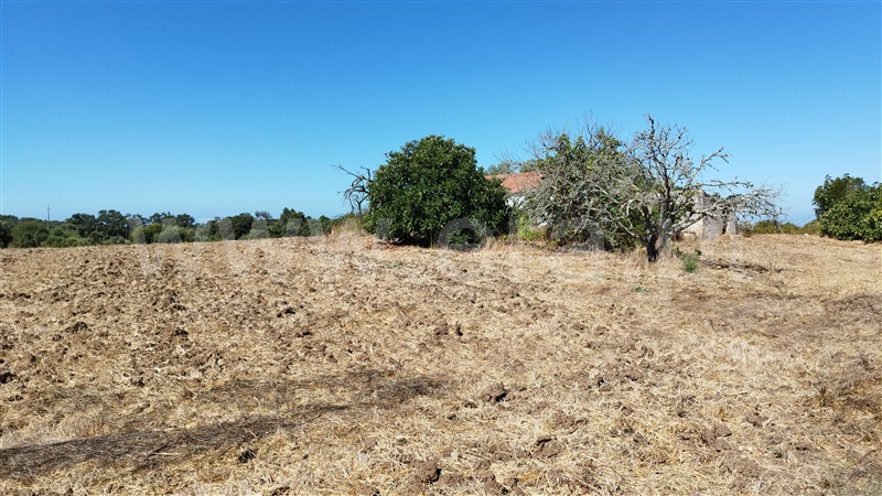 Quinta  Santiago do Cacém, Santiago do Cacém, Santa Cruz e São Bartolomeu da Serra - 1504514 - 22