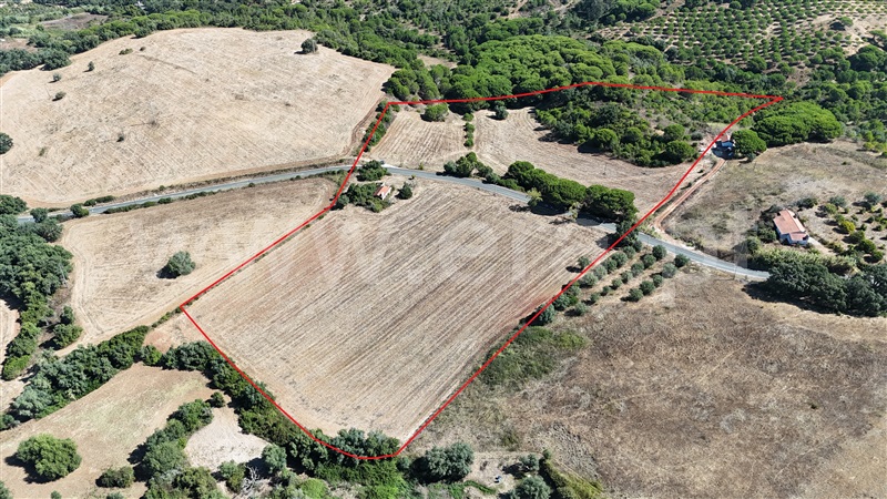 Quinta  Santiago do Cacém, Santiago do Cacém, Santa Cruz e São Bartolomeu da Serra - 1504514 - 24