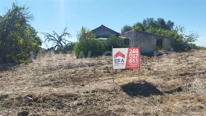 Quinta  Santiago do Cacém, Santiago do Cacém, Santa Cruz e São Bartolomeu da Serra - 1504514 - 20