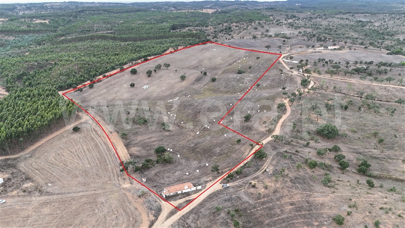 Quinta / Santiago do Cacém, Santiago do Cacém, Santa Cruz e São Bartolomeu da Serra