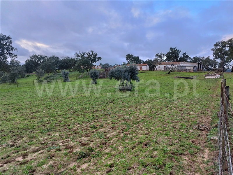 Herdade  Santiago do Cacém, São Domingos e Vale de Água - 1297270 - 7
