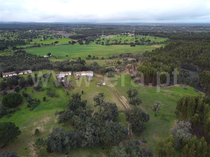 Herdade  Santiago do Cacém, São Domingos e Vale de Água - 1297270 - 8
