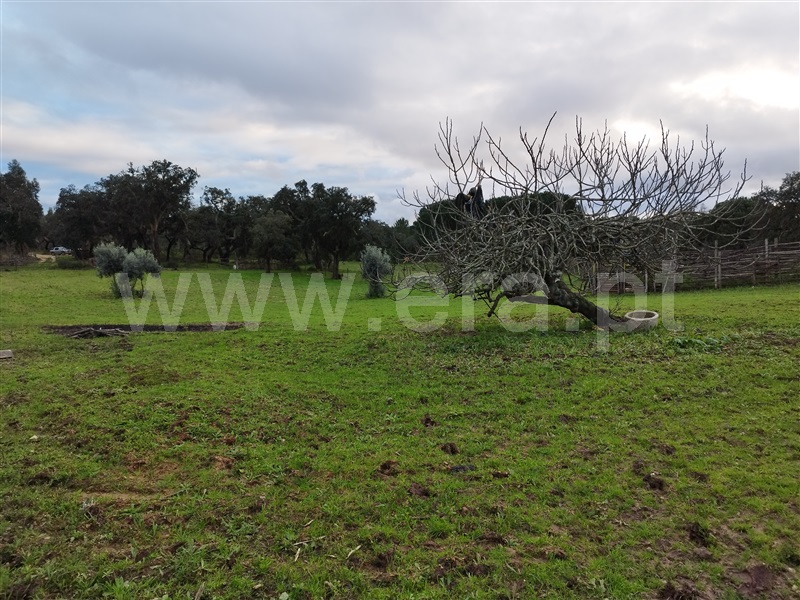 Herdade  Santiago do Cacém, São Domingos e Vale de Água - 1297270 - 9
