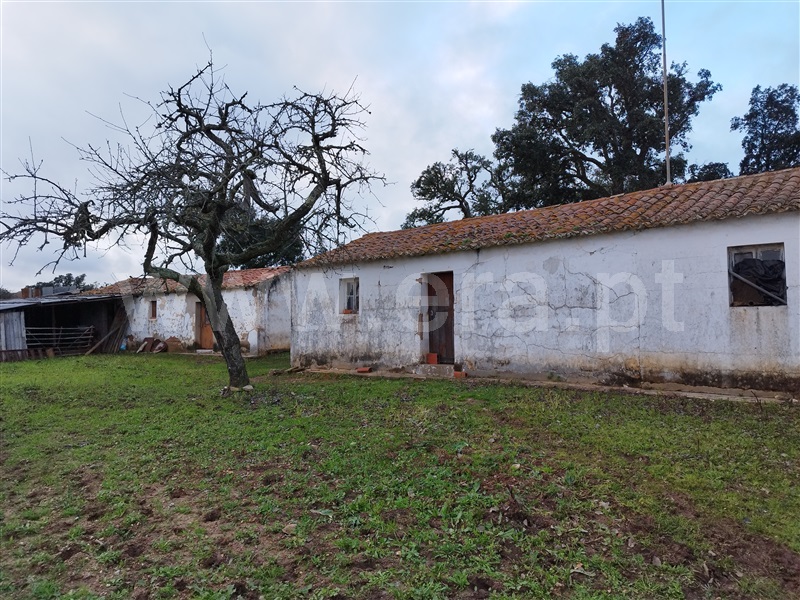 Herdade  Santiago do Cacém, São Domingos e Vale de Água - 1297270 - 10