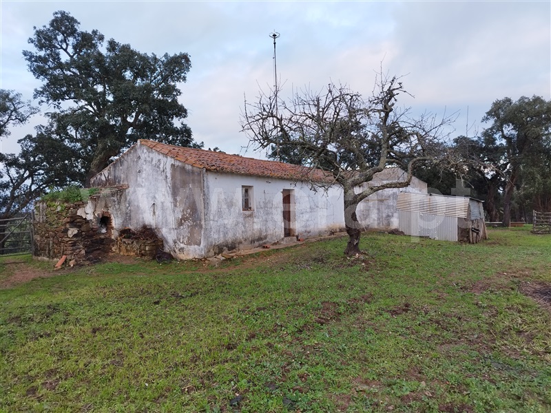 Herdade  Santiago do Cacém, São Domingos e Vale de Água - 1297270 - 11