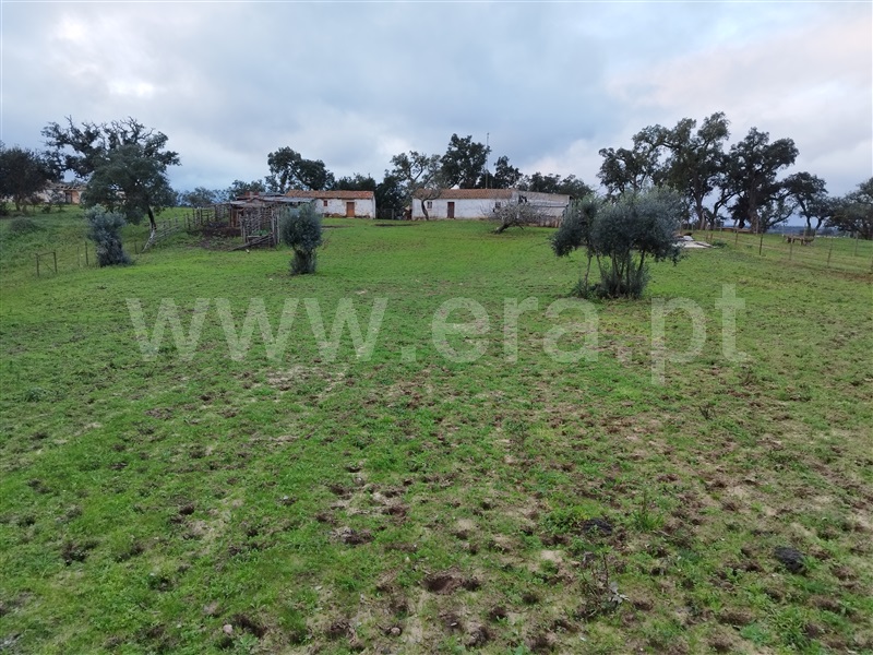 Herdade  Santiago do Cacém, São Domingos e Vale de Água - 1297270 - 16