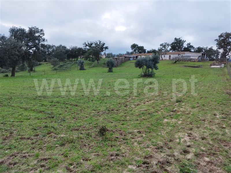 Herdade  Santiago do Cacém, São Domingos e Vale de Água - 1297270 - 17
