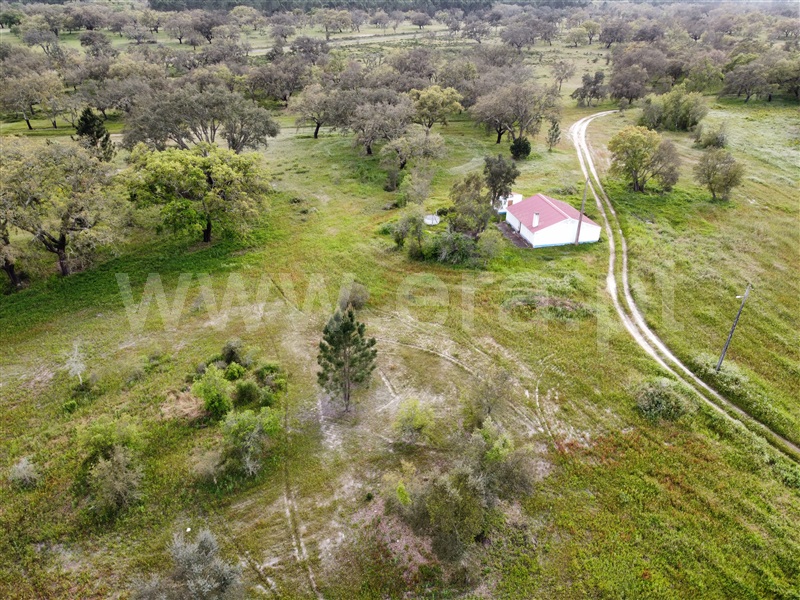 Quinta  Santiago do Cacém, São Domingos e Vale de Água - 1359874 - 24