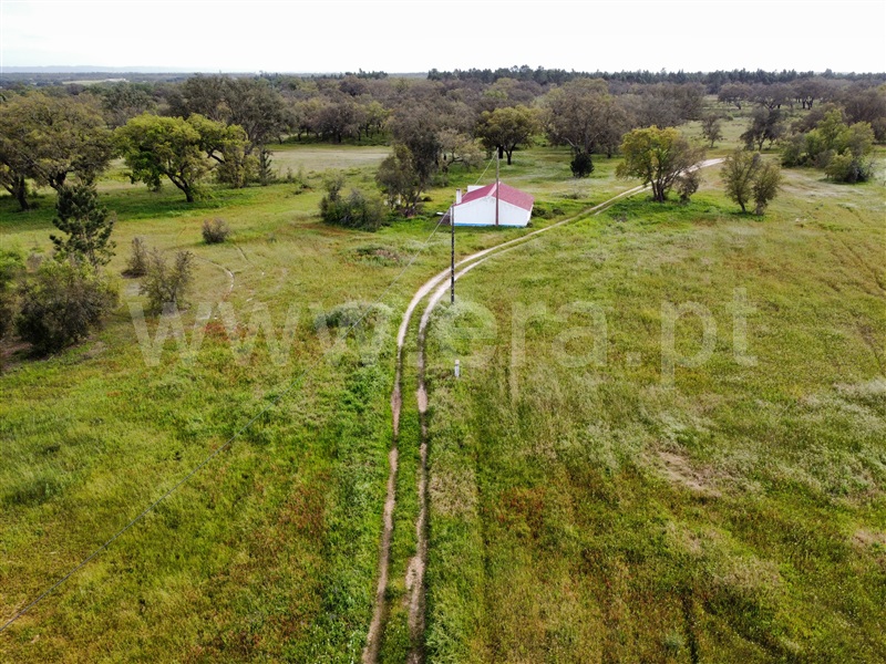 Quinta  Santiago do Cacém, São Domingos e Vale de Água - 1359874 - 25