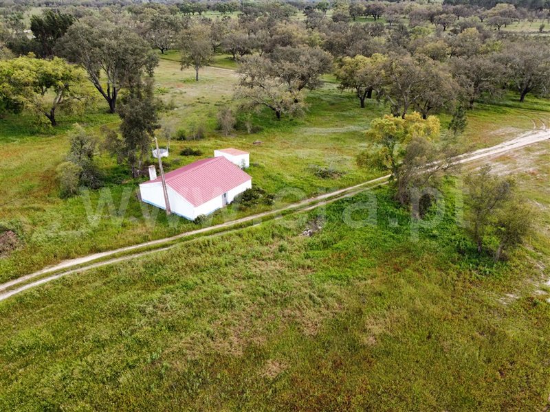 Quinta  Santiago do Cacém, São Domingos e Vale de Água - 1359874 - 26