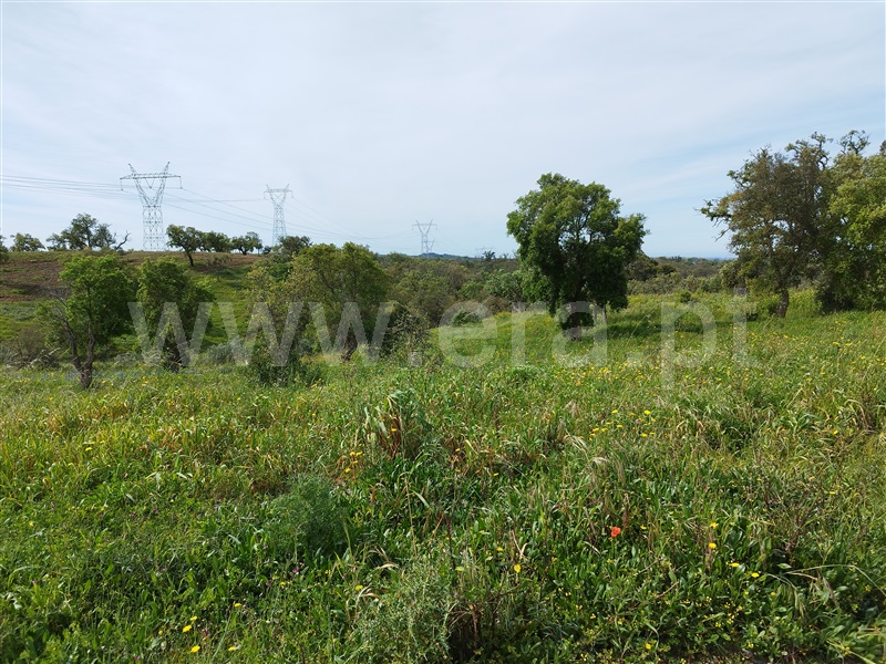 Quinta  Santiago do Cacém, São Domingos e Vale de Água - 1359874 - 27