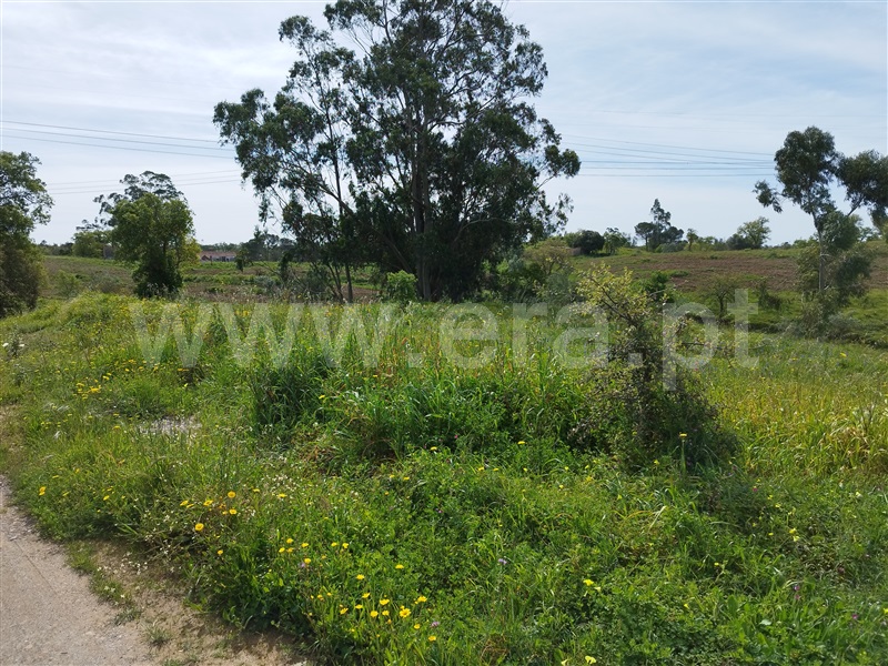 Quinta  Santiago do Cacém, São Domingos e Vale de Água - 1359874 - 28