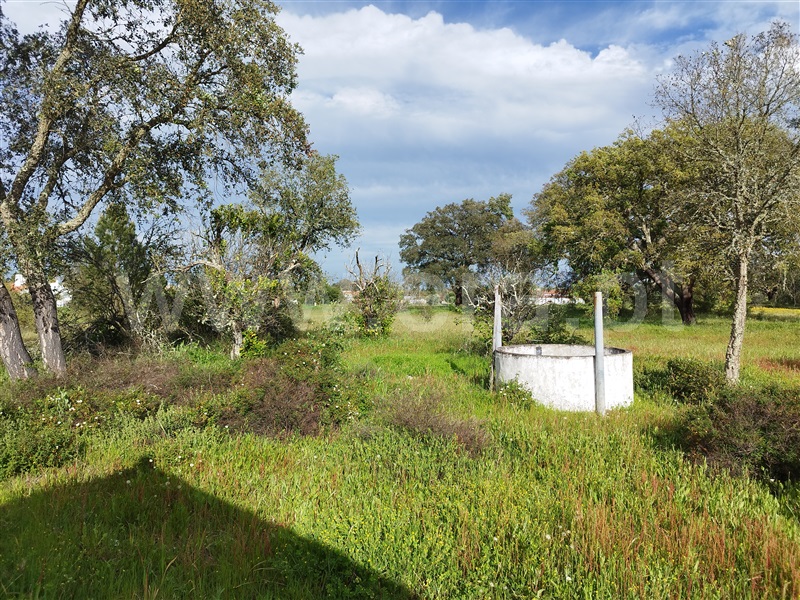 Quinta  Santiago do Cacém, São Domingos e Vale de Água - 1359874 - 36