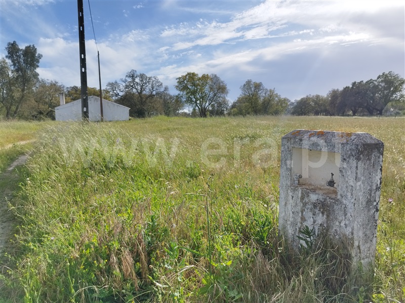 Quinta  Santiago do Cacém, São Domingos e Vale de Água - 1359874 - 41