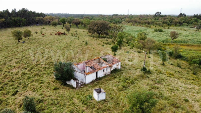 Quinta / Santiago do Cacém, São Domingos e Vale de Água