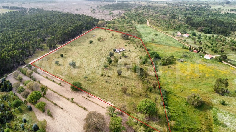 Quinta  Santiago do Cacém, São Domingos e Vale de Água - 1363174 - 39