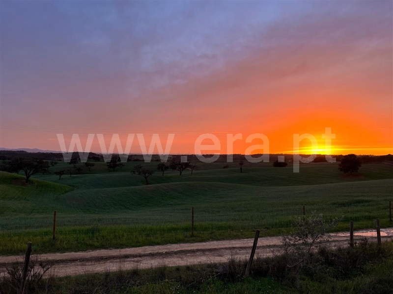 Quinta T4 Santiago do Cacém, São Domingos e Vale de Água - 1450918 - 1