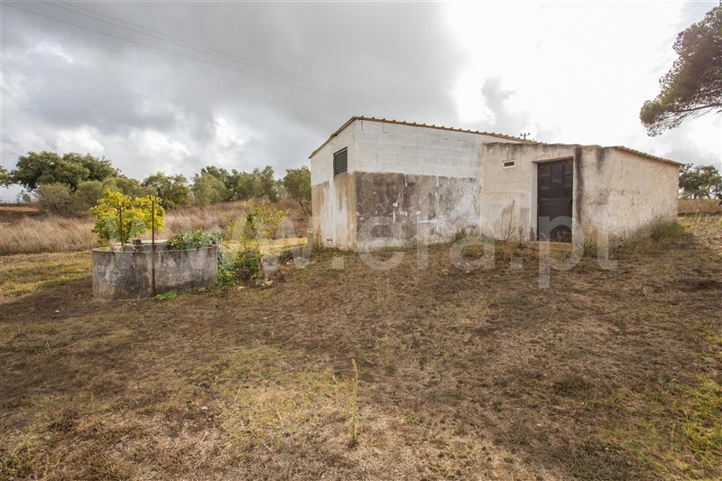 Quinta  Santiago do Cacém, São Francisco da Serra - 1119371 - 11