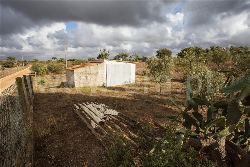 Quinta  Santiago do Cacém, São Francisco da Serra - 1119371 - 12