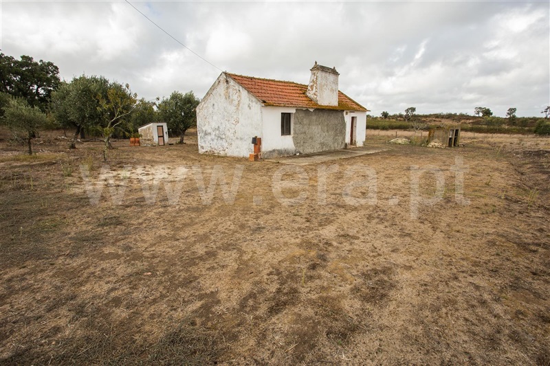 Quinta  Santiago do Cacém, São Francisco da Serra - 1119371 - 8