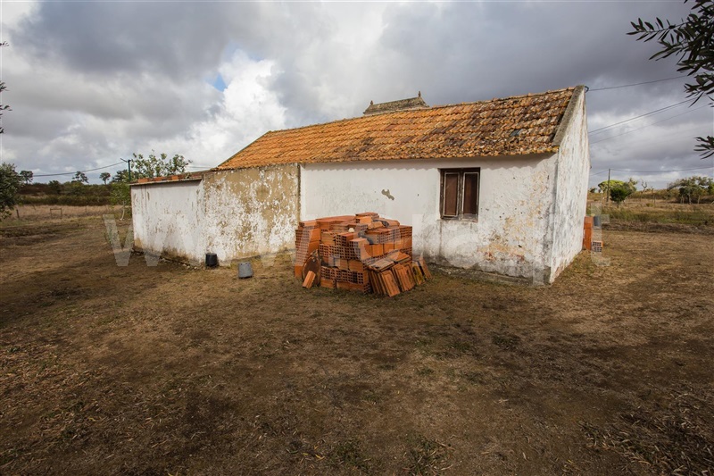 Quinta  Santiago do Cacém, São Francisco da Serra - 1119371 - 7