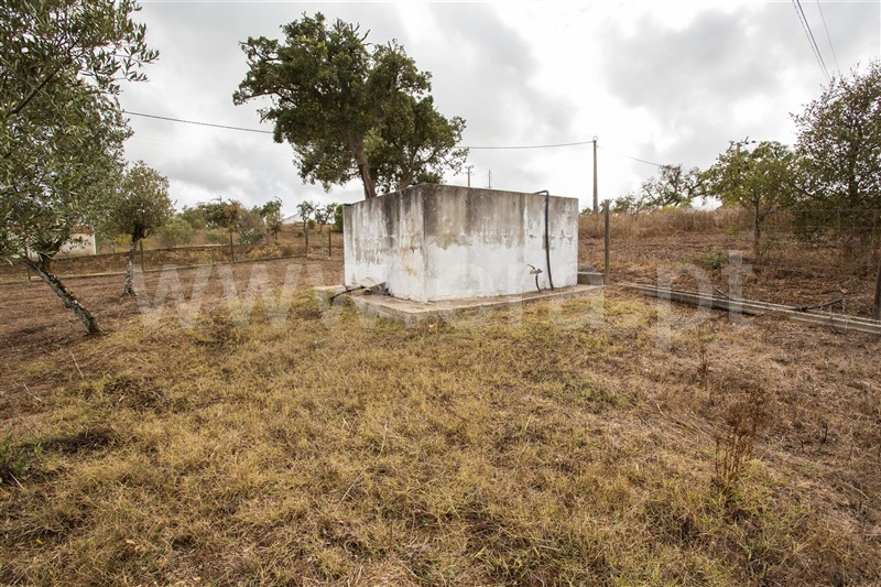 Quinta  Santiago do Cacém, São Francisco da Serra - 1119371 - 13