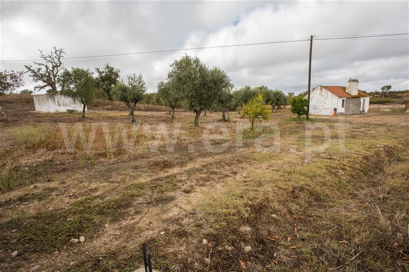 Quinta  Santiago do Cacém, São Francisco da Serra - 1119371 - 24