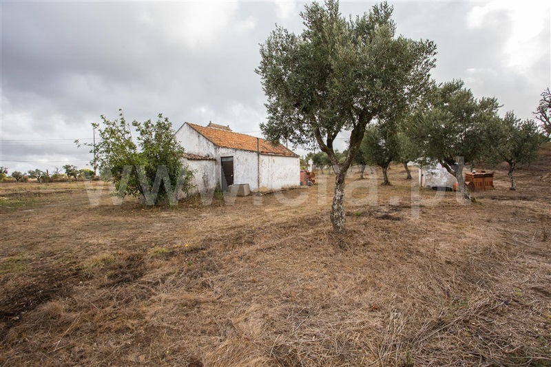 Quinta  Santiago do Cacém, São Francisco da Serra - 1119371 - 2
