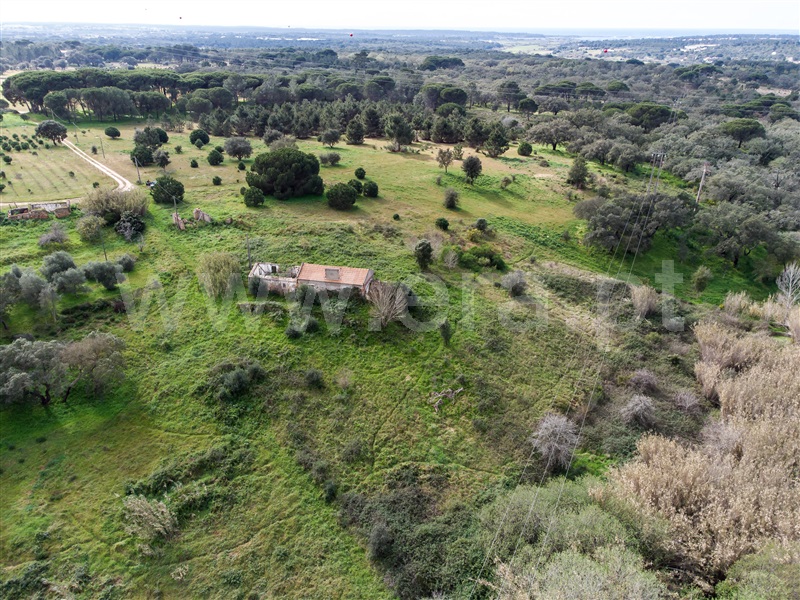 Quinta / Santiago do Cacém, São Francisco da Serra