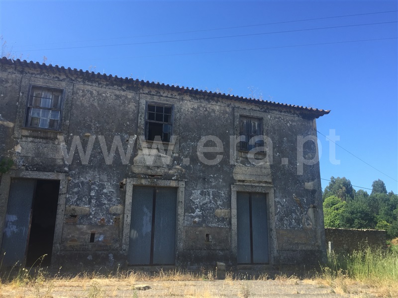 Quinta  Santo Tirso, Água Longa - 1259941 - 4