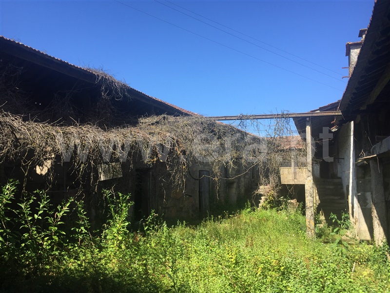 Quinta  Santo Tirso, Água Longa - 1259941 - 6